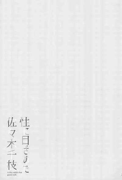 Sei ni Mezameta Sasaki Chie