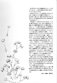 (CR23) [Ginrinkyuu (Aimu Yuu)] Setsu na Kute (Sentimental Graffiti)