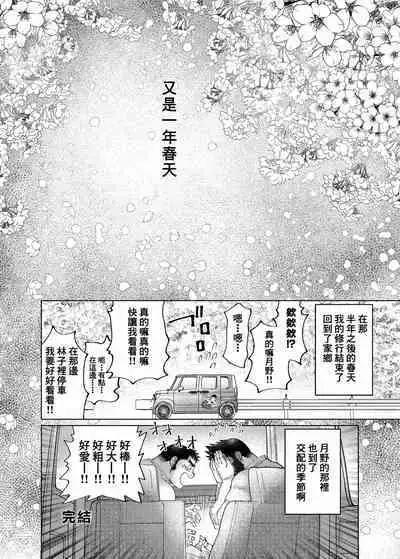 Tsukinowaguma｜月輪熊