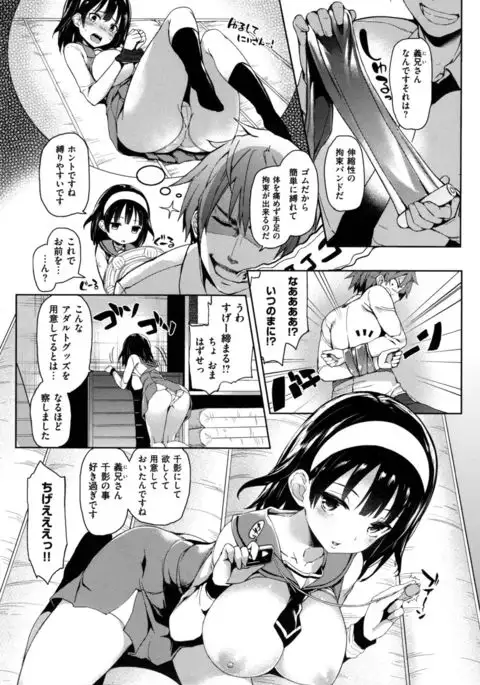 Shujuu Ecstasy - Sexual Relation of Master and Servant. -