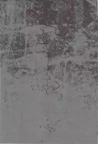 (Ao no Seiiki in Osaka Lv. 3) [Kawasemisewaka, ALLIGATOR (Michan, Nanoka)] MOVE ROGUE (Ao no Exorcist)