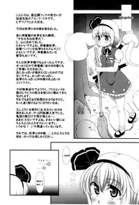 (C81) [ORANGE CHANNEL (Aru Ra Une)] Watashi wo Taoshite Karaiki Nasai! | If You Want to Go, You Must Beat Me! (Touhou Project) [English] [Sharpie]