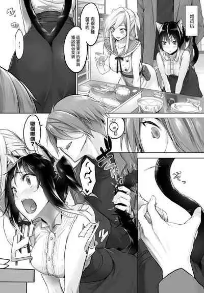 [Kyougoku Touya] Orokamono wa Nekomimi Dorei ni Izon suru ~Hajimete no Choukyou Seikatsu~ Vol. 1 [Chinese][大鸟可不敢乱转汉化][Digital]