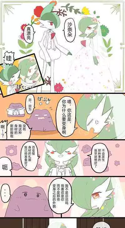 |宝可梦的故事（呜鸟木个人汉化组）