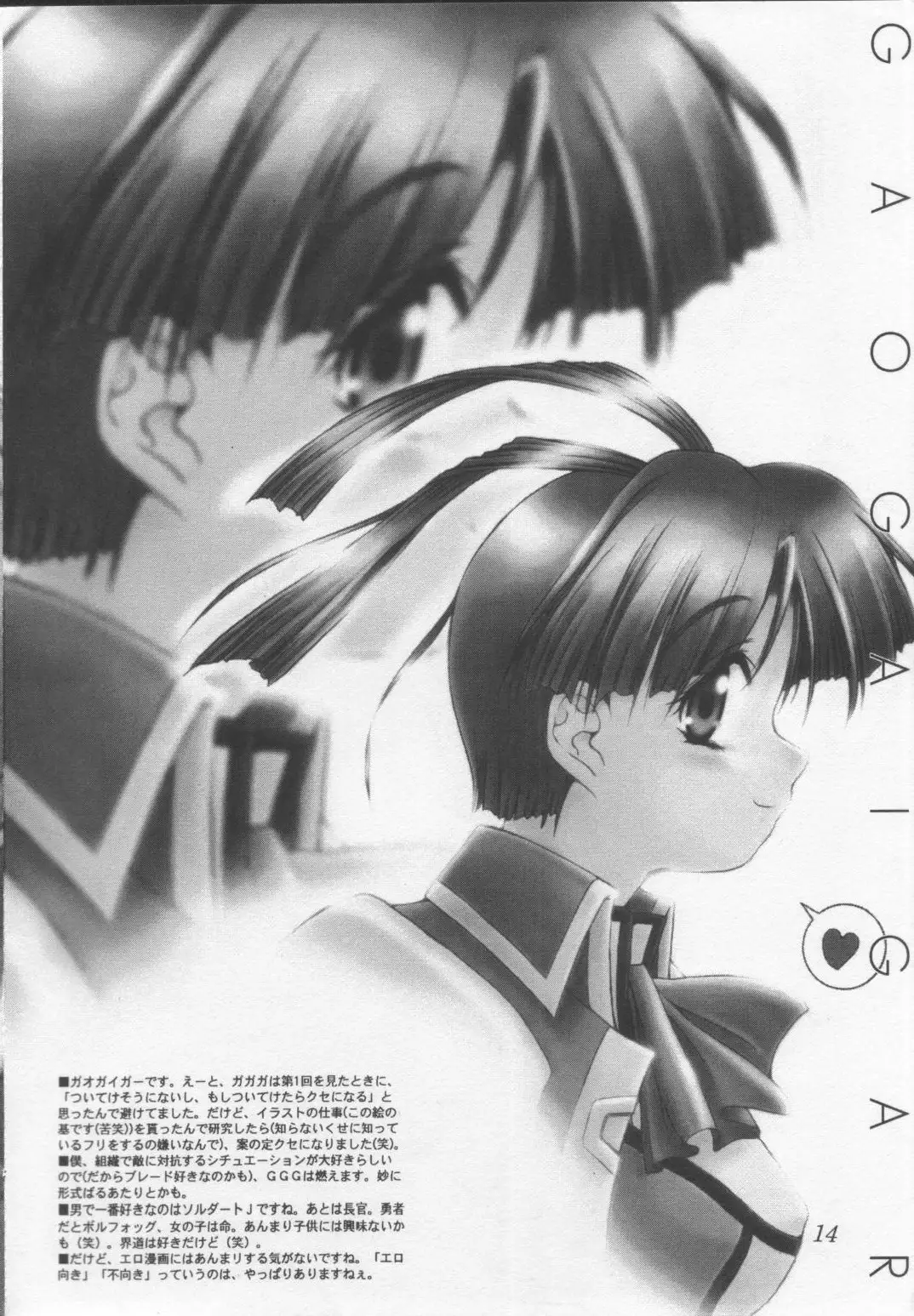 SUPPLEMENT AND DEVELOPMENT