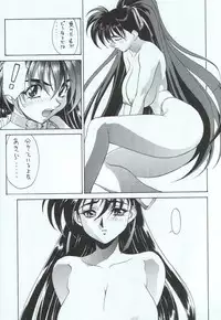 (C51) [TITANCOLOR BRAND (Takuya Inoue)] HB16 (Variable Geo)