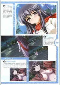 [Yameta Takashi, Sagisawa Anzu, Inuhiko] Colorful Kiss ~12 Ko no Mune Kyun~ Official Fanbook Brilliant Days!