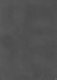 (C70) [BlueMage (Aoi Manabu)] H de Kirei na Onee-san PA (Busou Renkin)