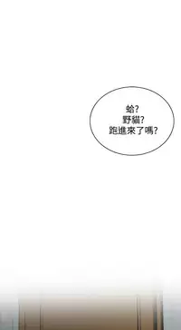 Take a Peek 偷窥 Ch.39~55 [Chinese]中文