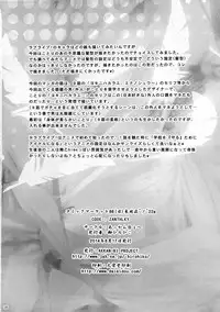 (C86) [AKKAN-Bi PROJECT (Yanagi Hirohiko)] WONDER ZONE (Love Live!) [Chinese] [黑条汉化]
