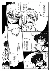 (C87) [Kieyza cmp (Kieyza)] TOHO N+ 109/14 (Touhou Project)