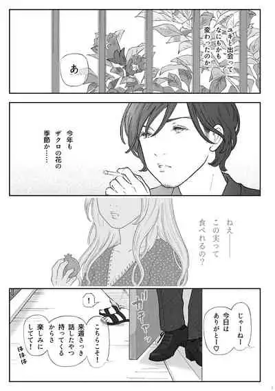 柘榴