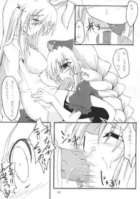 (C72) [Amadeus no Isan (Fujihara Shu, Aoba Shou)] Chichi Usagi e no Shohousen (Touhou Project)
