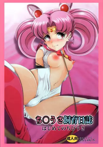 (C93) [Otokojuku (Nanashi Noizi)] Chibiusa Shiiku Nisshi 2 (Bishoujo Senshi Sailor Moon)