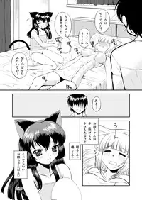 [猫崎製作所] ねこのあな2+3