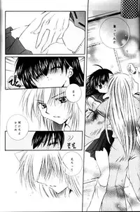 [Sakurakan (Seriou Sakura)] Yuuyami Ryuuseigun (Inuyasha)