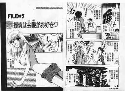 Chousa File H - Investigation File