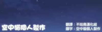 (C95) [Yojigen Kaidenpa (Shiden Hiro)] Ougon no Buta wa Tsuki ni Naku (Fate/Grand Order) [Chinese] [空中貓個人製作 & 不咕鸟汉化组]