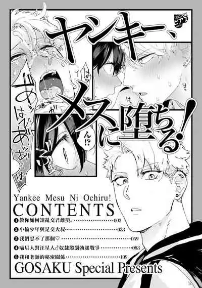 Yankee, Mesu ni Ochiru! | 不良雌堕!