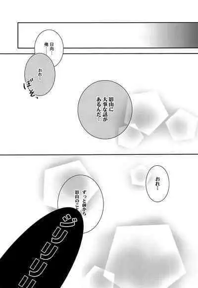 (SUPER COMIC CITY 23) [puniiyu] Hinata to Koi ni Ochiru Made— (Haikyuu!!)
