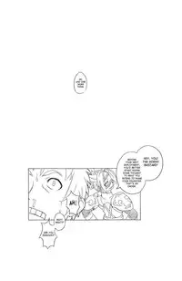 (C75) [Kezukuroi Kissa (Gochou)] Kenka shimasu ka？Yes or No？| Shall We Fight? Yes or No? (Final Fantasy XI) [English] {SaHa}