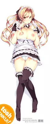 [Tosh] Maid & Master & #2-chan (Complete) [ENG]