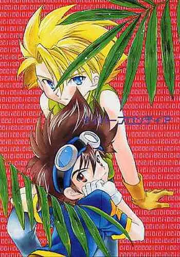 Cyber Frontier