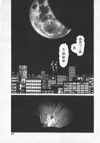 [Yamamoto Atsuji] Hon-Pi-Fu Vol.1