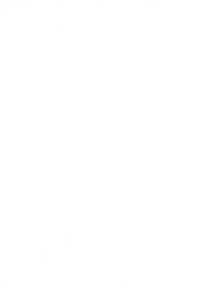 Michi ni Namae o Tsuketa no wa Dare? 1