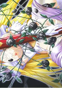 Elfeana ～ Yoru e to Urareta Oukoku de... ～ original artworks