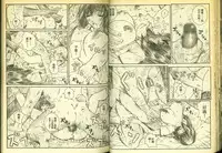 草莓100分 17