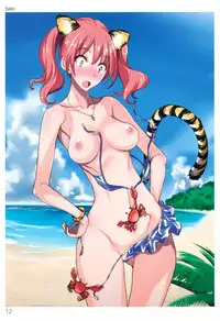 (C88) [Tsukuru no Mori Kabushikigaisha (Various)] TORANOANA Girls Collection 2015 SUMMER TYPE-X