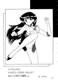 [T2 UNIT, RyuukiSya, Sakura ROC (Various)] LUNATIC ASYLUM (Sailor Moon)