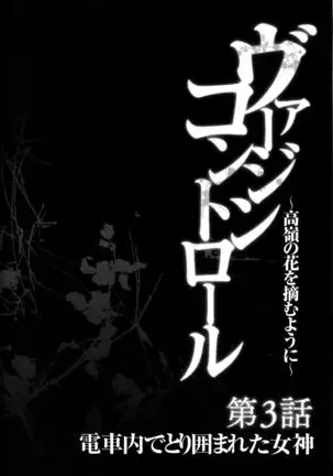 Virgin Control ~Takane no Hana o Tsumu you ni~