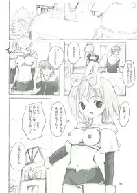 (SC23) [PARANOIA CAT (Fujiwara Shunichi)] Himitsu no Guild ni Goyoujin 1+2+α (Ragnarok Online)