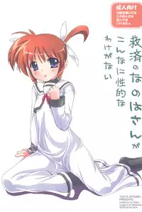(Mimiket 23) [Testa Kitchen (Testa)] Kyuusai no Nanoha-san ga konnani Seiteki wake ga nai (Mahou Shoujo Lyrical Nanoha)