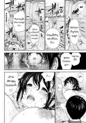 Netoraserare Vol.1-3