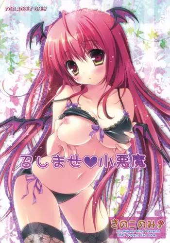(C75) [Kinokonomi (kino, konomi)] Lest foret (Touhou Project)