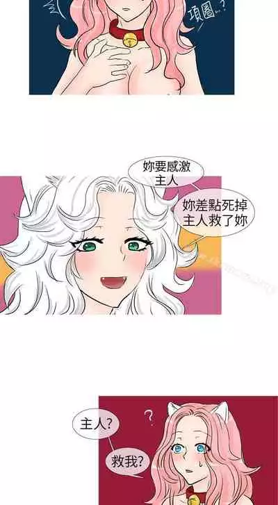 小野貓馴服手冊