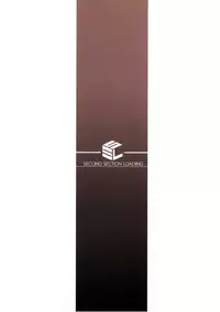 (C94) [S.S.L (Yanagi)] Rider-san to Oshiire. (Fate/stay night) [English] [Janime6]