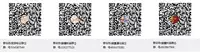 [Shironegiya (miya9)] Guild no AB-san (Ragnarok Online) [Chinese] [脸肿汉化组] [Digital]