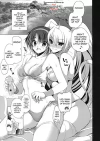 (C82) [FANTASY WIND (Shinano Yura, Minazuki Satoshi)] CAT DAYS 2 (DOG DAYS) [English] [SaHa]