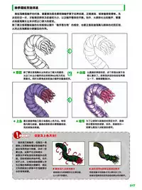 How to Draw the Shokusyu