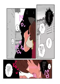 [Ameshoo (Mikaduki Neko)] Touhou TS Monogatari ~Chen hen 2~ (Touhou Project) [LowRes]