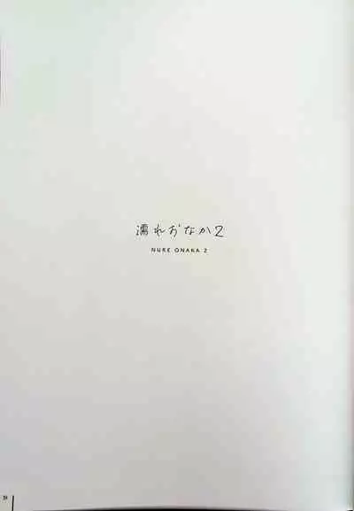 Nure Onaka Soushuuhen