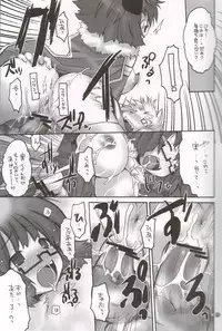 (C68) [Seinansei ni Kagayakeru Hoshi (Morino Papiko)] Ragnarok Yawa Level.6 (Ragnarok Online)