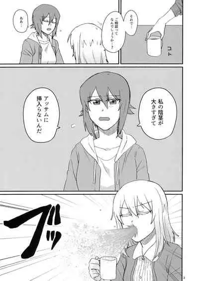 (C93) [Canary to Tsubame (Hayakawa Torinone)] Konna no Data ni Arimasen! (Girls und Panzer)