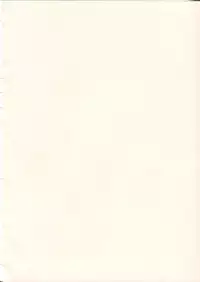 (C62) [Cha Cha Cha Brothers, Rupinasu Touzokudan (Yokoyama Chicha)] Saraba Ginrei Hon (Giant Robo)