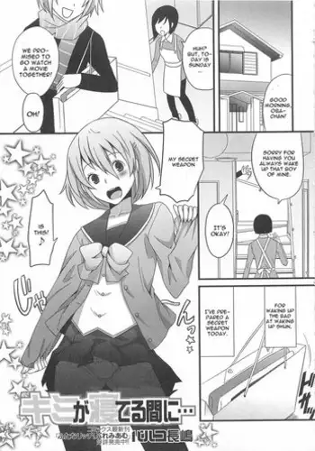 [Palco Nagashima] Kimi ga Neteru Aida ni... (Otokonoko wa Itsudemo Moteki) [English] [CGrascal]