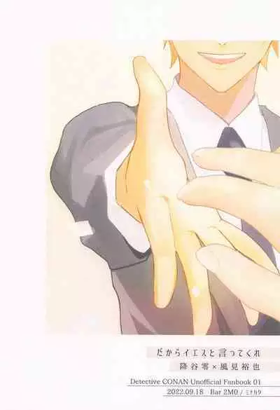 Dakara Yes to Itte Kure - I want you to say yes.